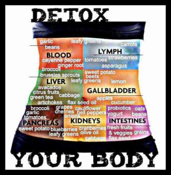 detox-your-body